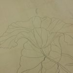 FASE 3