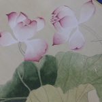 FASE 5
